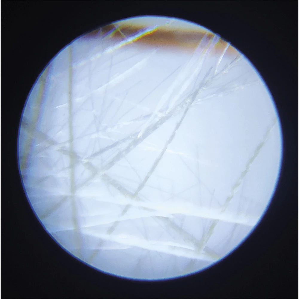 Microscope de Poche