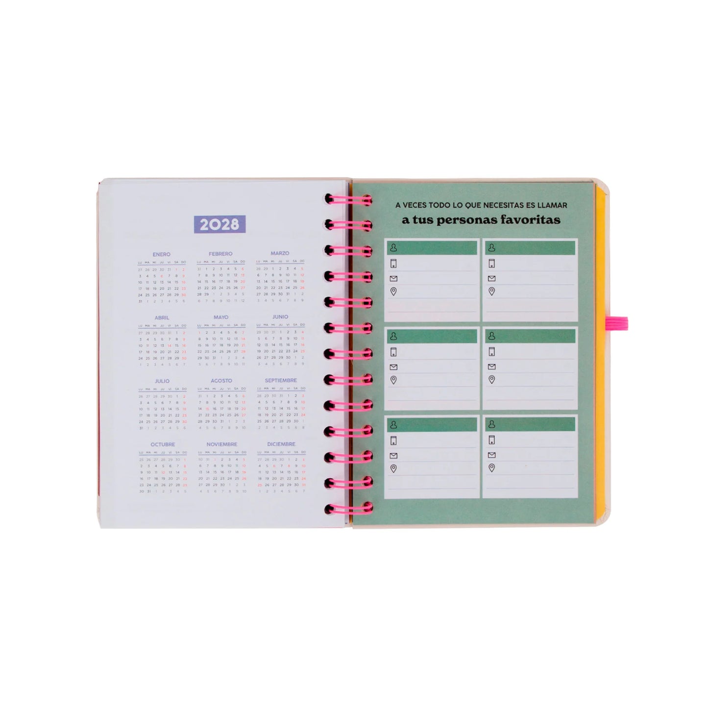 Set agenda Mr. Wonderful 2026-2027 + 3 stylos effaçables Bo-Bo Edition Exclusive