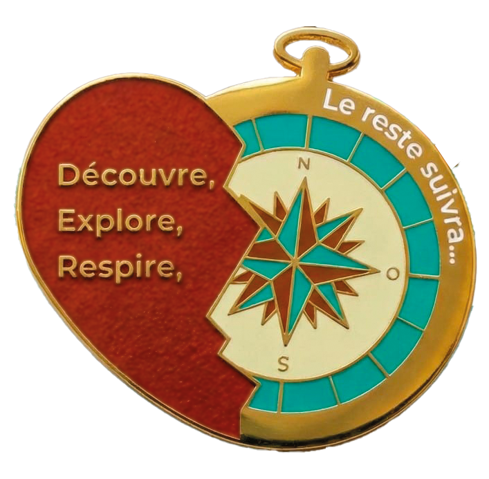 Pin's Aventura - Divers Modèles